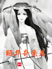 《昭华奇案卷》封面