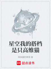 《星空我的搭档是只高维猫》封面