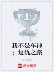《我不是车神：复仇之路》封面
