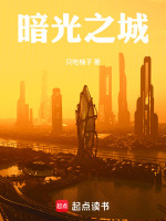 暗光之城