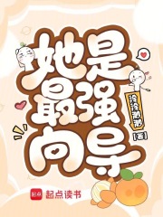 恶毒向导，深陷哨兵修罗场