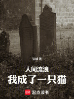 第五章碎木片真相