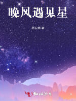 晚风遇见星