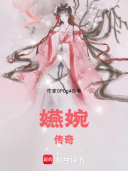 《嬿婉传奇》封面