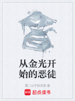 从金光开始的恶徒