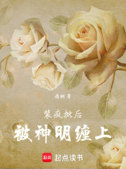 《装疯批后被神明缠上》封面