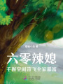 六零辣媳：手握空间带飞全家暴富