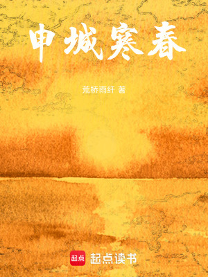 《申城寒春》封面