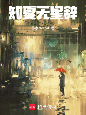 《知夏无星辞》封面