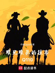 《难兄难弟的往事Q110》封面