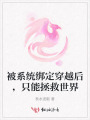 被系统绑定穿越后，只能拯救世界