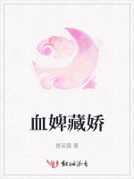 血婢藏娇