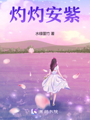《灼灼安紫》封面