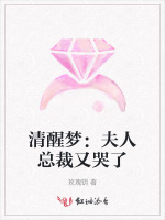 清醒梦：夫人总裁又哭了