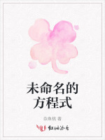 未命名的方程式