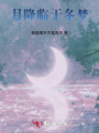 月降临于冬梦