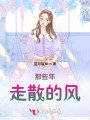 那些年，走散的风