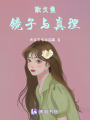 散文集镜子与真理