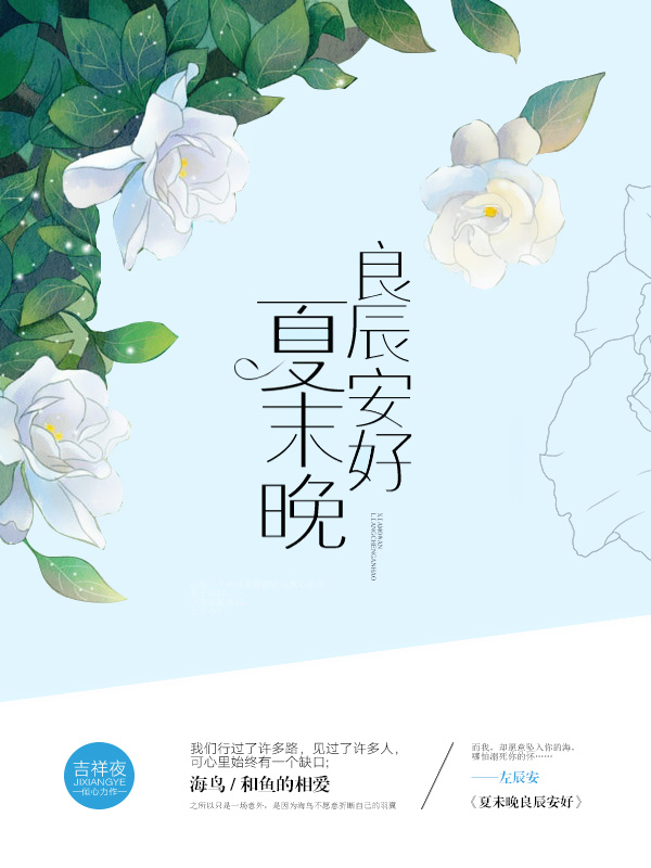 夏未晚良辰安好小说封面