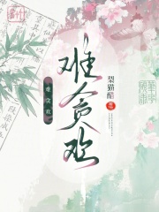 难贪欢