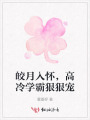 皎月入怀，高冷学霸狠狠宠