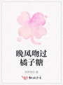 晚风吻过橘子糖