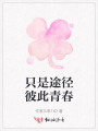 只是途径彼此青春