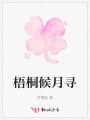 梧桐候月寻