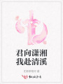 君向潇湘我赴清溪