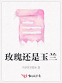 玫瑰还是玉兰