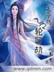 《天堂鸟之轮回劫》封面