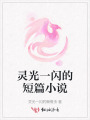 灵光一闪的短篇小说