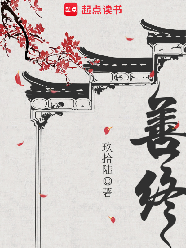 善终小说封面