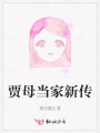 贾母当家新传