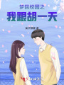 梦回校园之我跟胡一天
