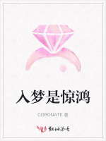 入梦是惊鸿