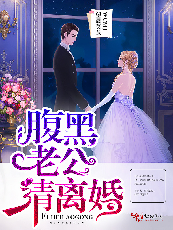 腹黑老公请离婚小说封面