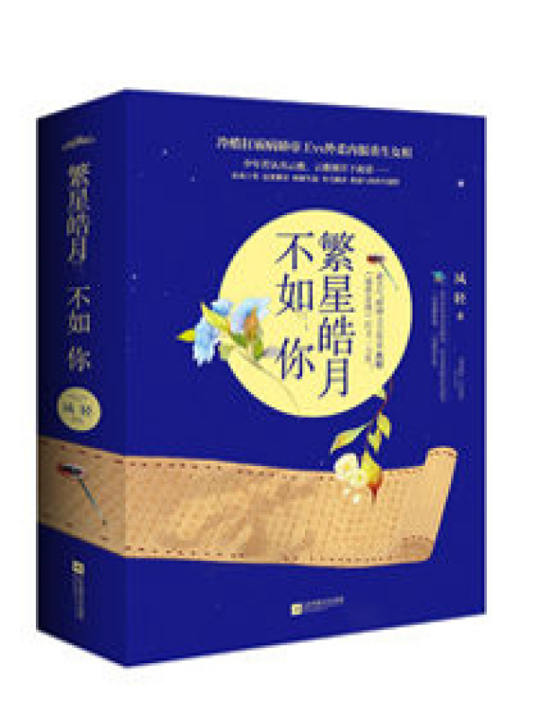 盛世谋臣小说封面