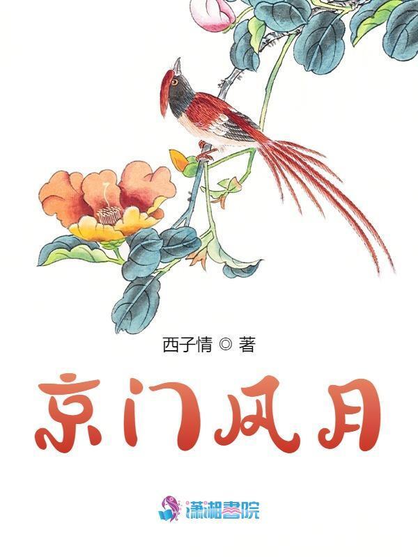 京门风月小说封面