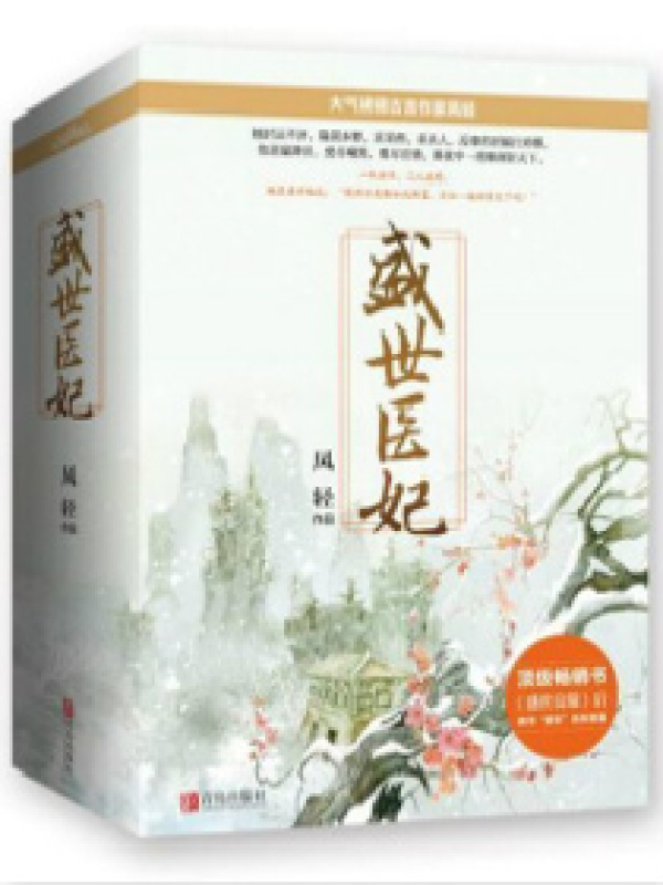 盛世医妃小说封面