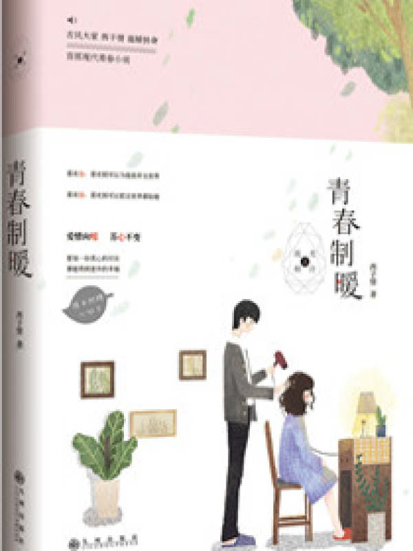 青春制暖小说封面