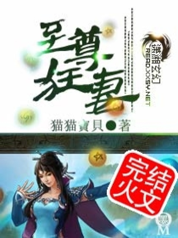 至尊狂妻小说封面