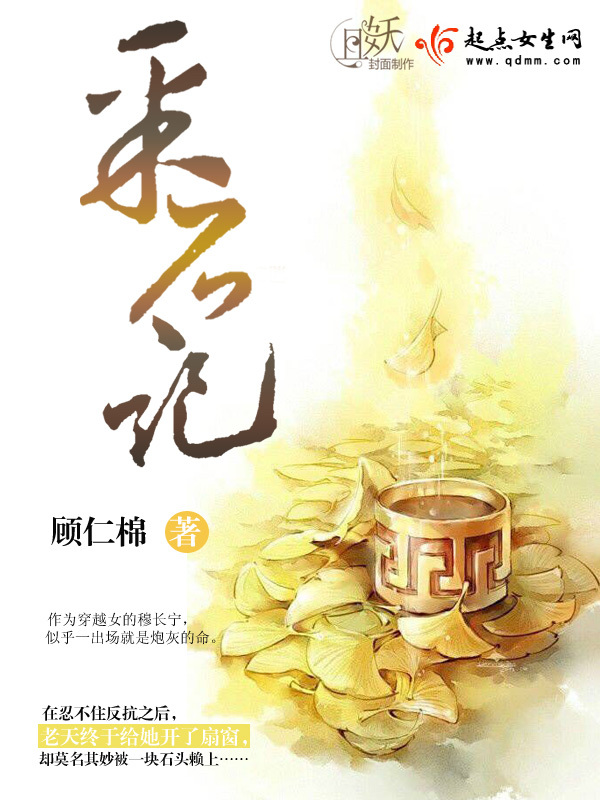 采石记小说封面