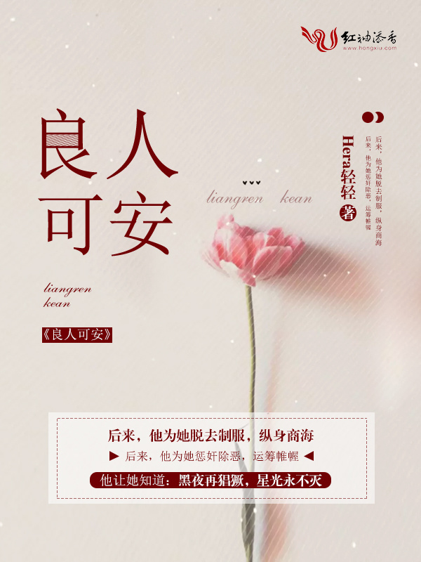 良人可安小说封面