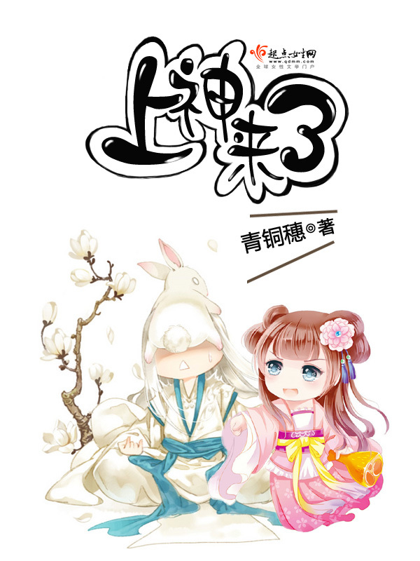 上神来了小说封面