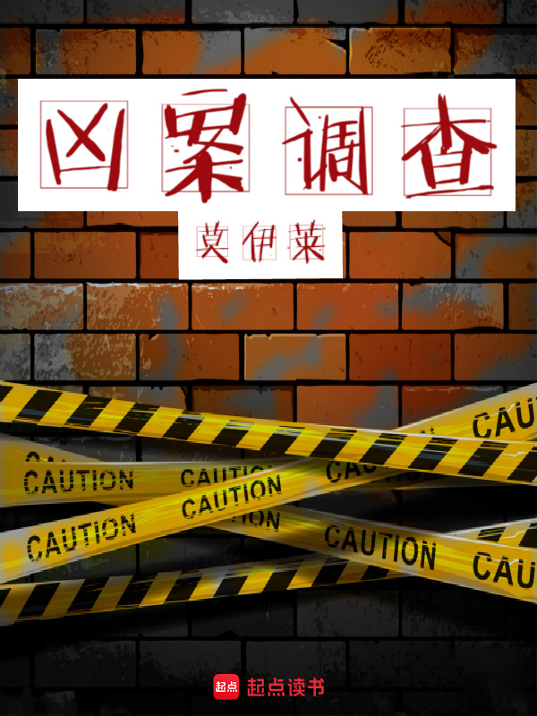 凶案调查小说封面