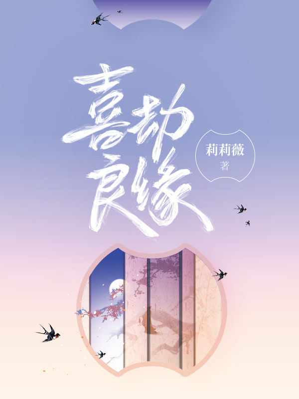 喜劫良缘小说封面