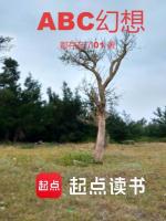 ABC幻想