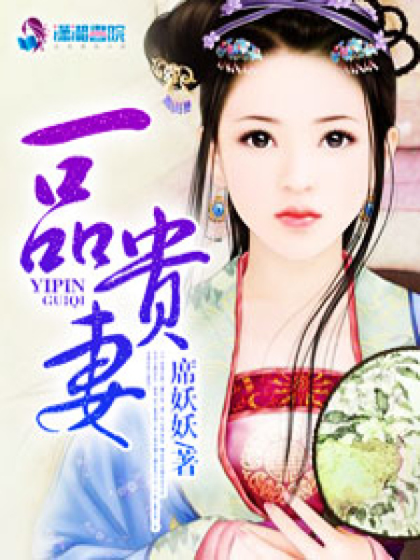 一品贵妻小说封面