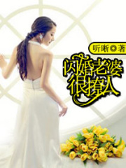 闪婚老婆很撩人
